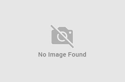 blog-home-img