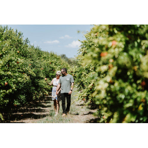 Guided Farm Walk