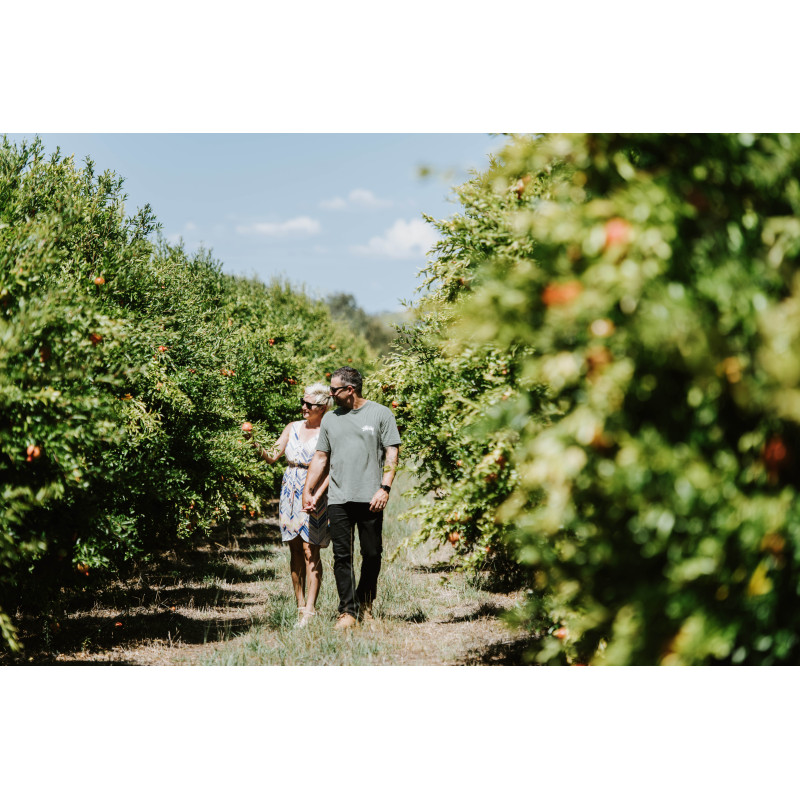 Guided Farm Walk